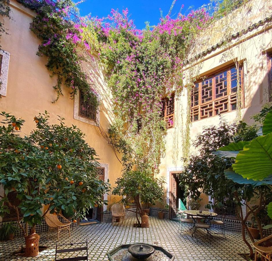 Bohémia Pensión Marrakesh